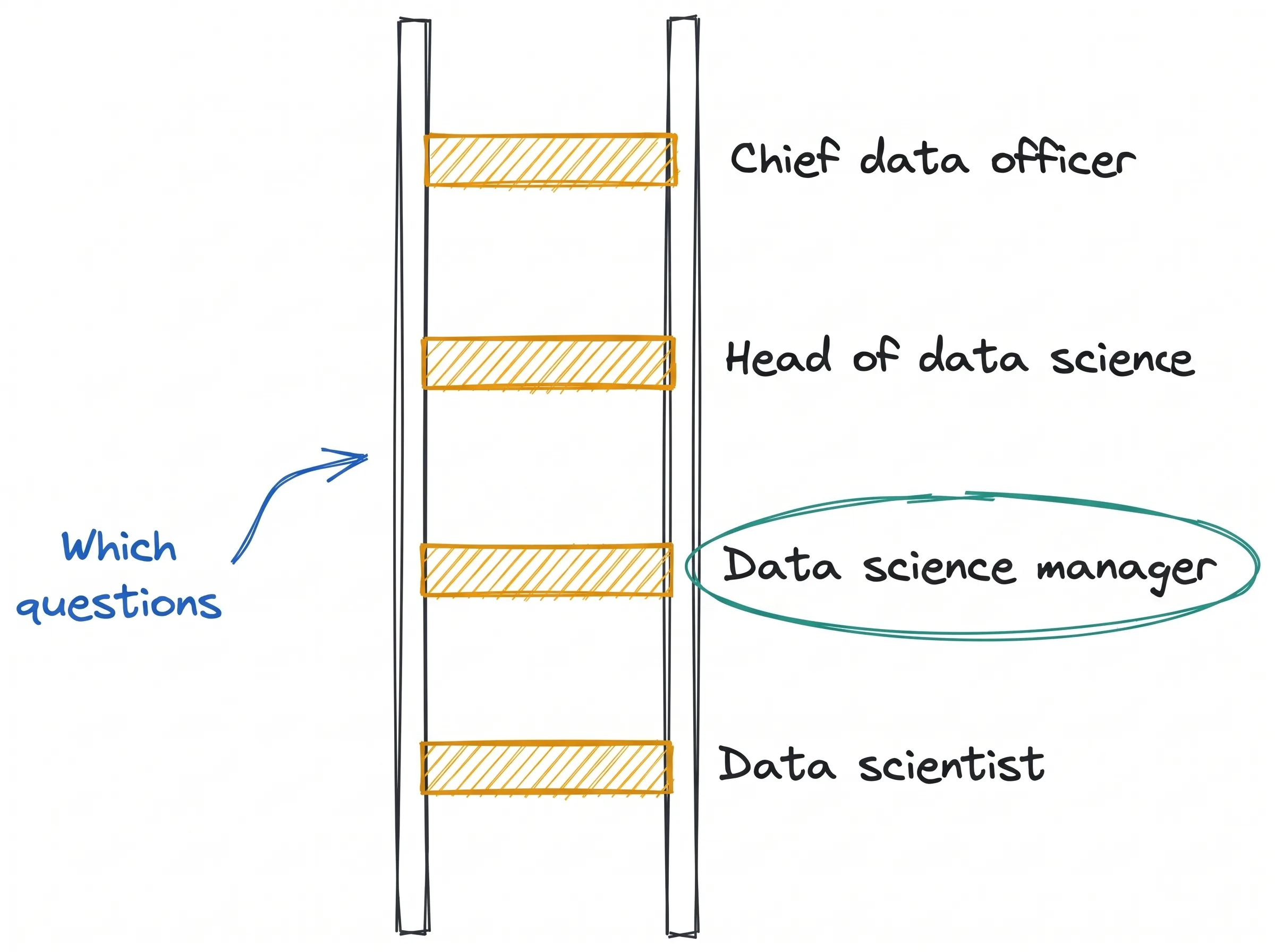 Kreslený žebřík se čtyřmi oranžovými příčkami, odspodu popsanými Data scientist, Data science manager, Head of data science a Chief data officer. Příčka Data science manager je zakroužkovaná zeleně a ukazuje na ni modrá šipka s popiskem Which questions (které otázky).