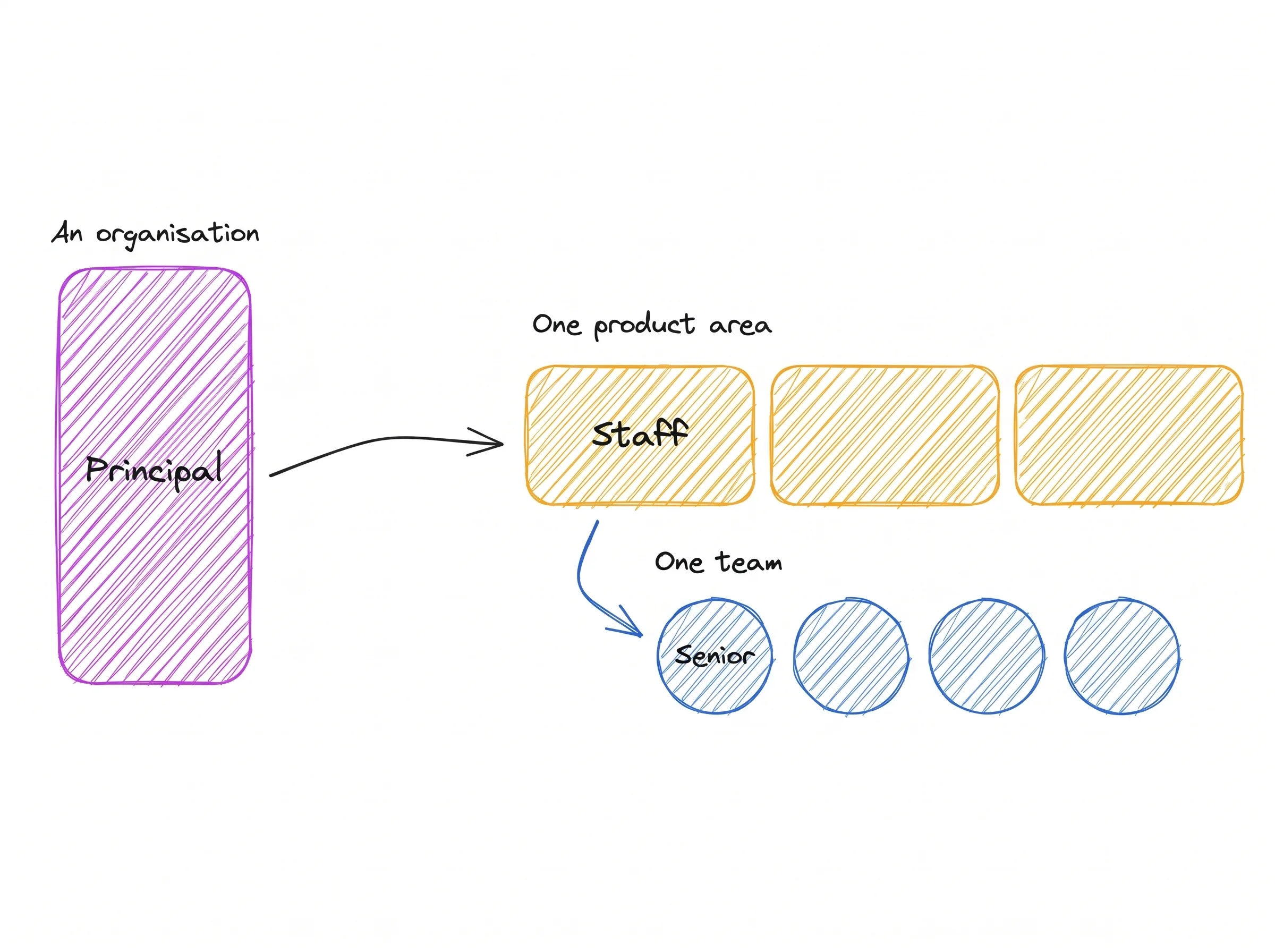 Hand-drawn diagram: one Principal box spanning an organisation, an arrow to a row of product areas where Staff owns one product area, and below it a row of teams where Senior owns one team.