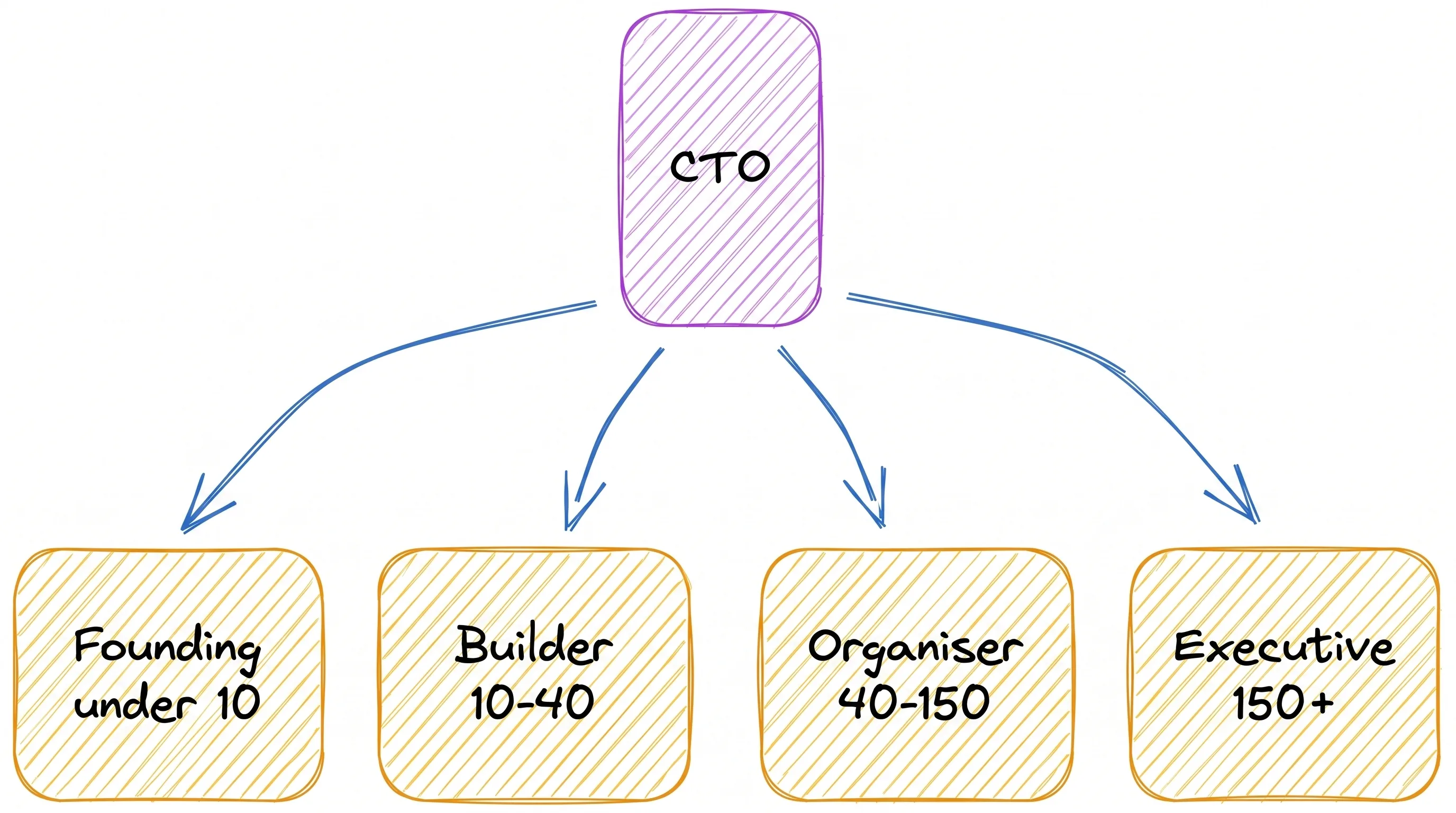 Kreslené schéma: jeden box CTO se větví na čtyři, Founding under 10, Builder 10-40, Organiser 40-150, Executive 150+, stejný titul rozdělený podle velikosti tech organizace.