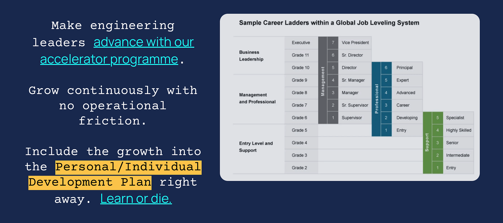 Screenshot from Marian's website showing a sample career ladder based on the Radford Global Scale, outlining Manager, Professional, and Support tracks.